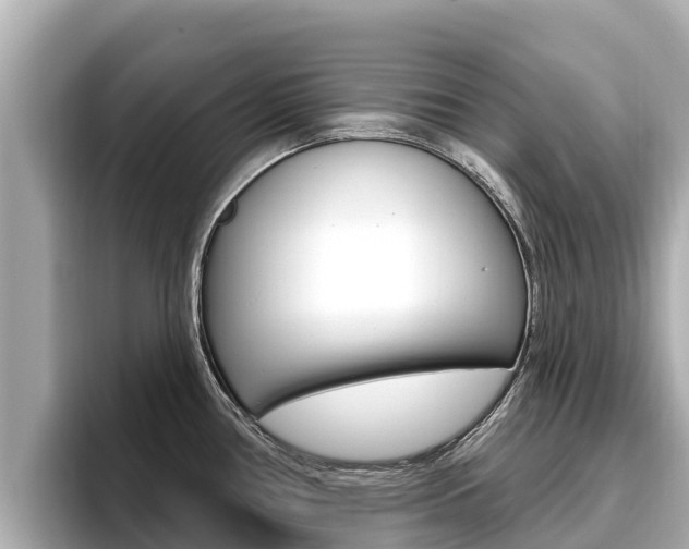 X0000096681386200802051021