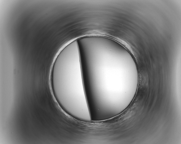 X0000096681387200802051021