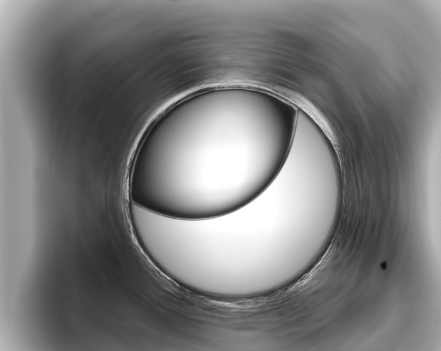 X0000096681388200802051021