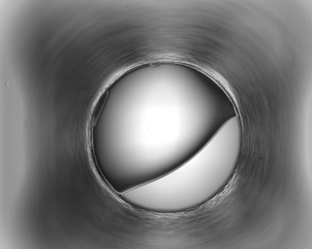 X0000096681389200802051021