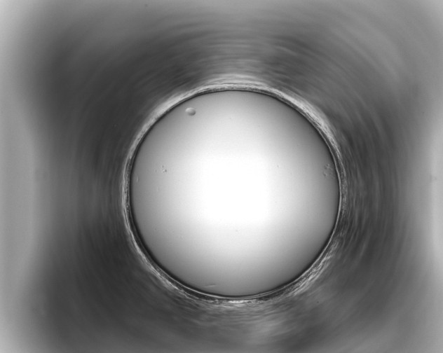 X0000096681390200802051021