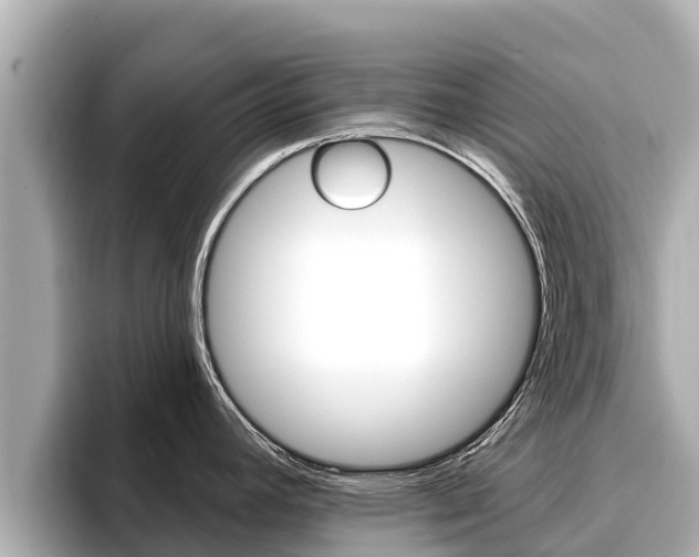 X0000096681392200802051021