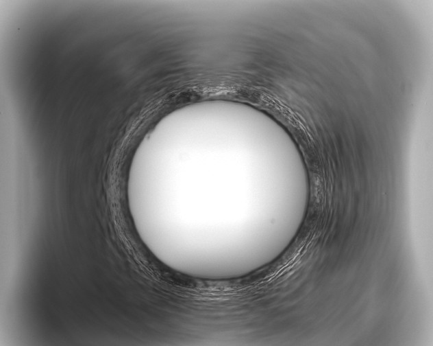 X0000096681393200802051020
