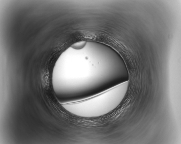 X0000096681394200802051020