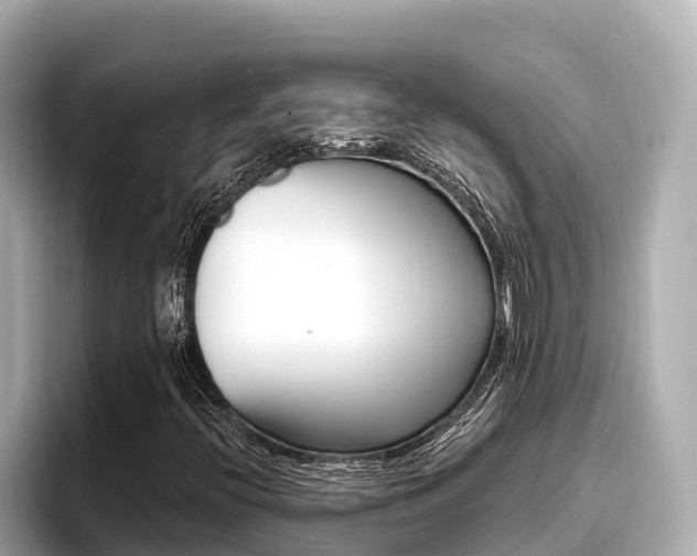 X0000096681396200802051020