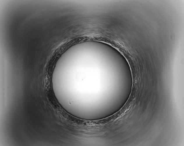 X0000096681398200802051020