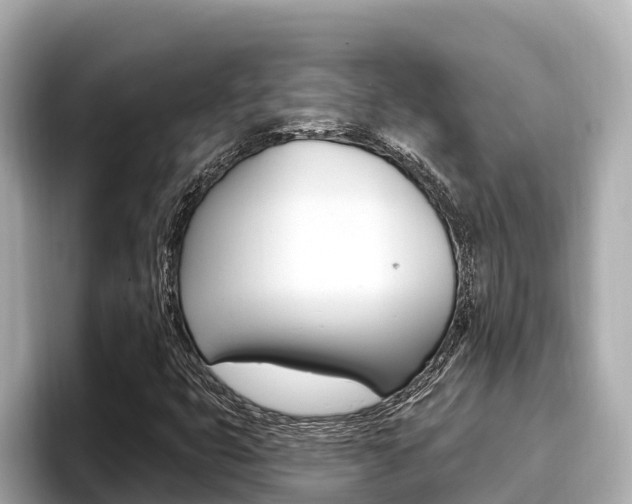 X0000096681399200802051020