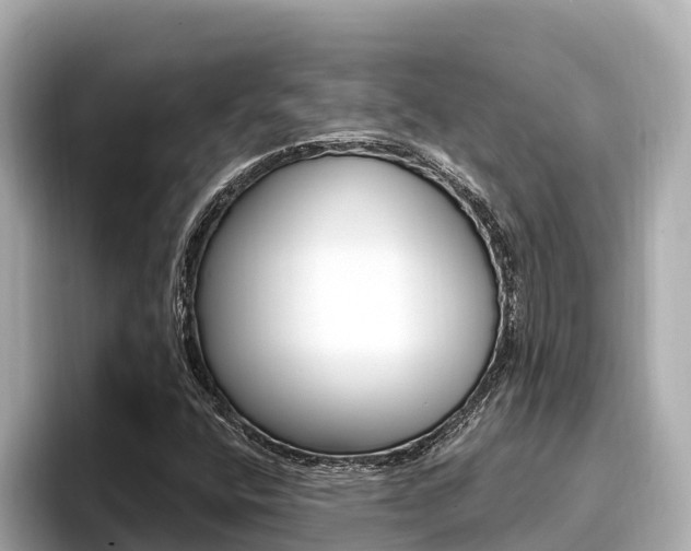 X0000096681400200802051020