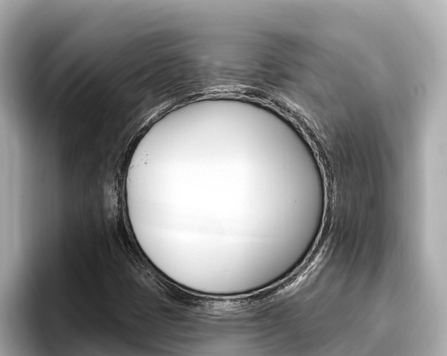 X0000096681401200802051020