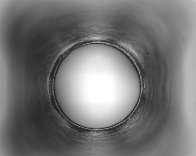 X0000096681404200802051020