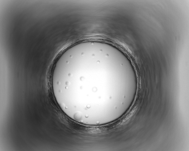 X0000096681405200802051020