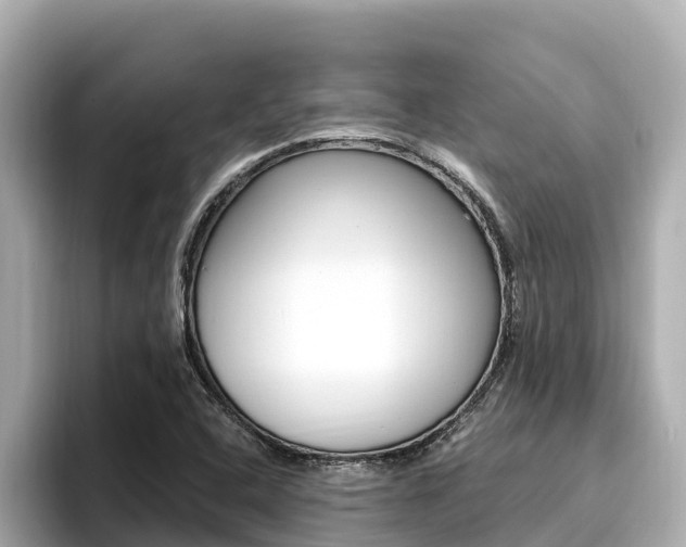 X0000096681408200802051020