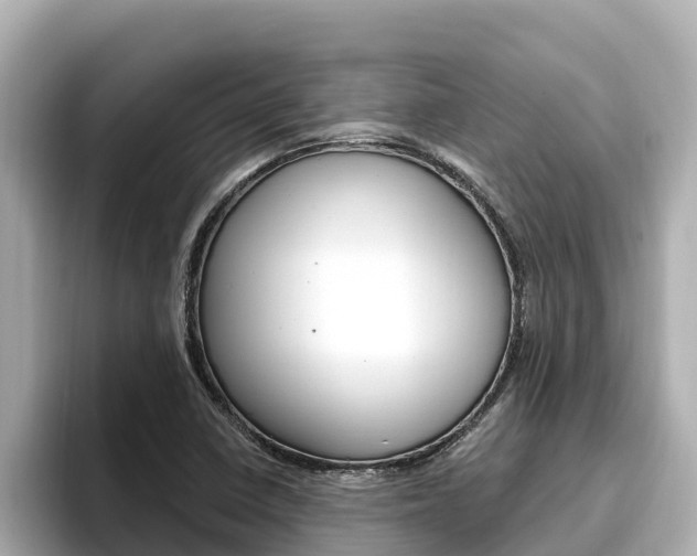 X0000096681410200802051020