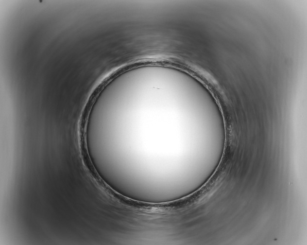 X0000096681412200802051021