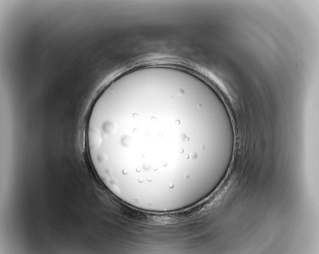 X0000096681413200802051021