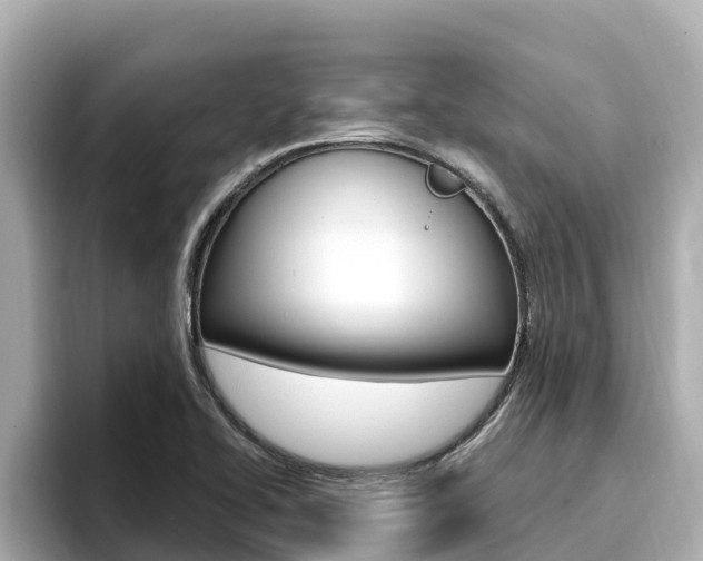 X0000096681414200802051021