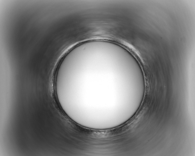 X0000096681415200802051021