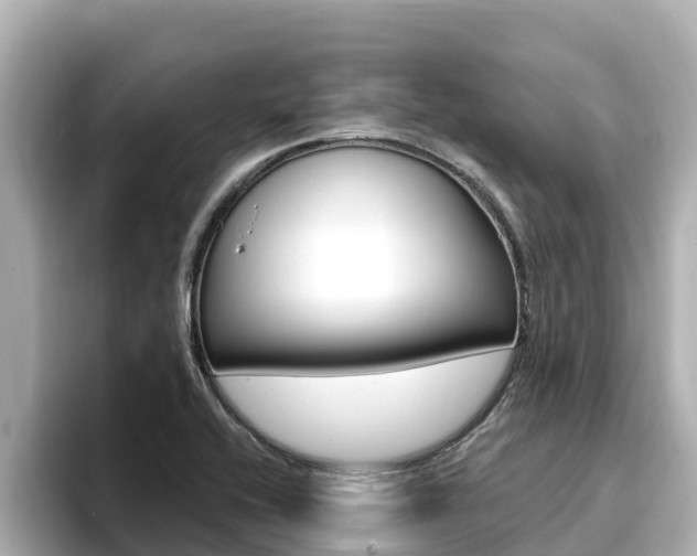 X0000096681416200802051021