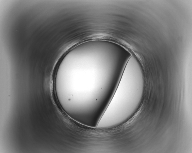 X0000096681418200802051021
