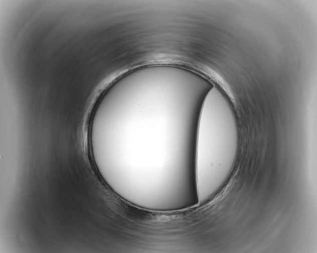 X0000096681419200802051021