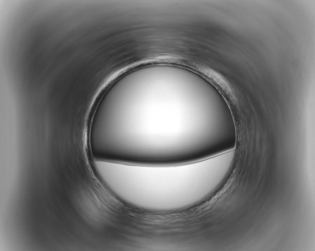 X0000096681420200802051021