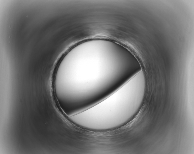 X0000096681422200802051021