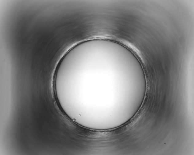 X0000096681423200802051021