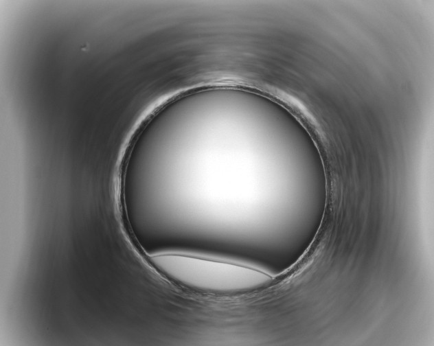 X0000096681424200802051021
