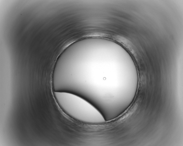 X0000096681425200802051021