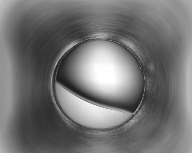 X0000096681426200802051021