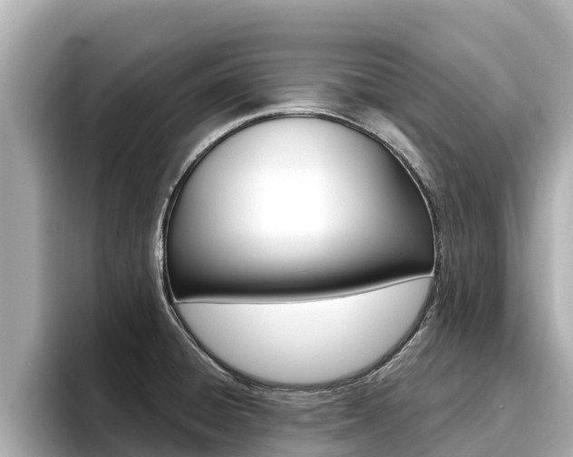 X0000096681428200802051021