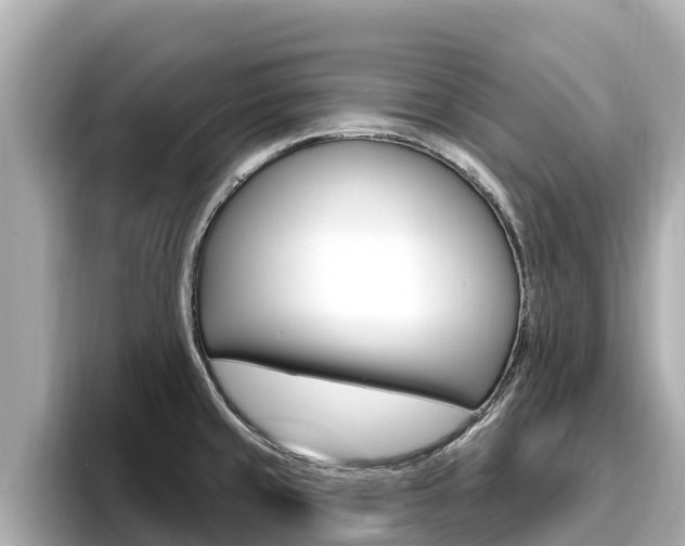 X0000096681429200802051021