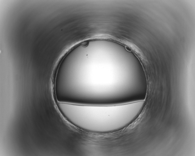 X0000096681430200802051021