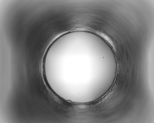 X0000096681431200802051021