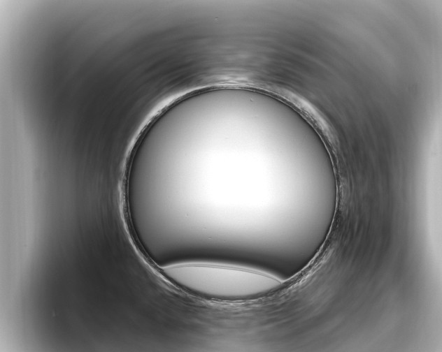 X0000096681432200802051021