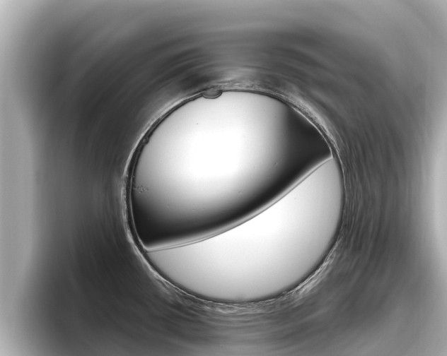 X0000096681434200802051021