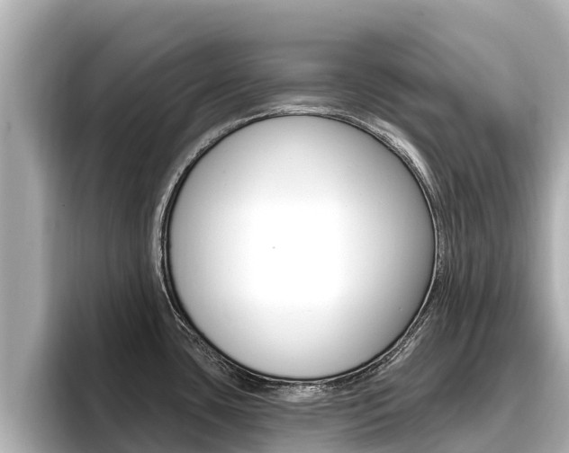 X0000096681435200802051021