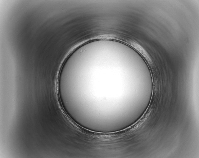 X0000096681436200802051021
