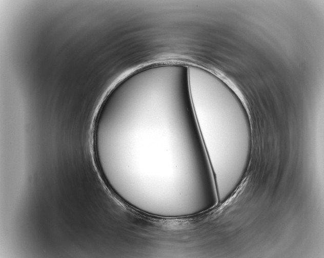 X0000096681437200802051021