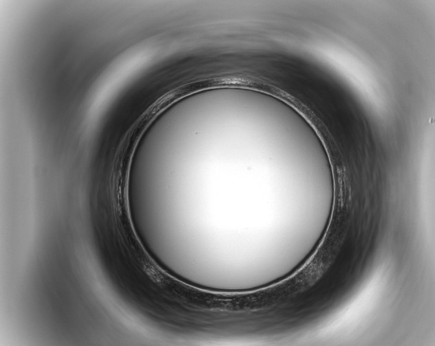 X0000096681438200802051021