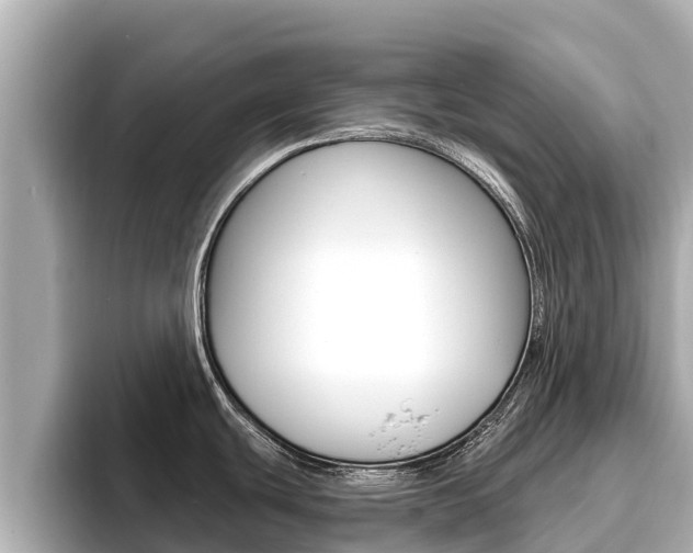 X0000096681439200802051021