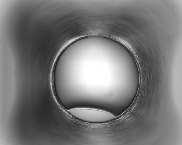 X0000096681440200802051021