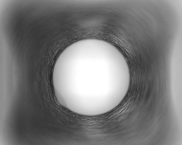 X0000096681441200802051020