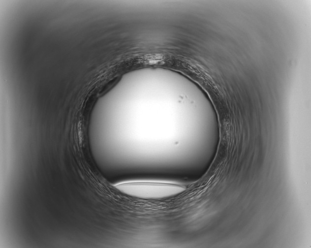 X0000096681442200802051020