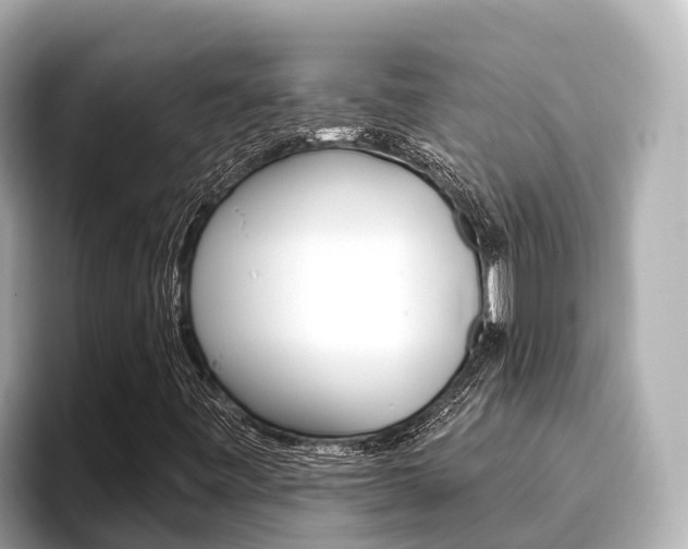 X0000096681443200802051020