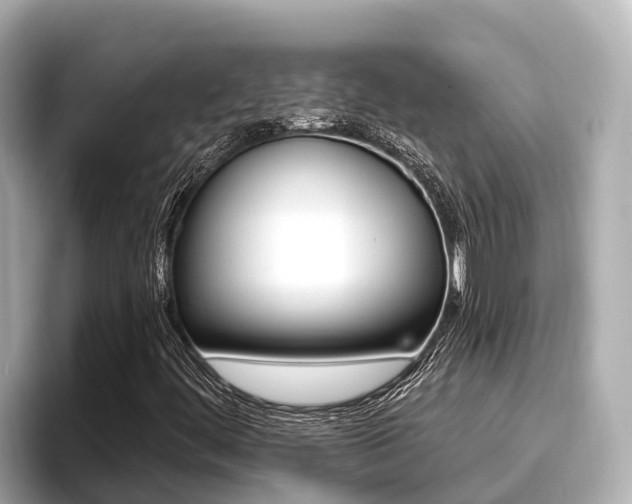 X0000096681444200802051020