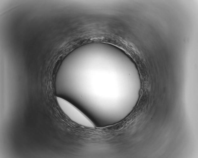 X0000096681445200802051020