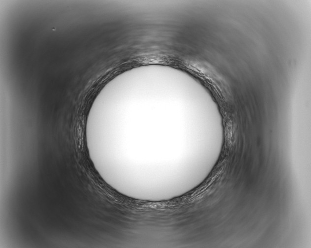X0000096681446200802051020