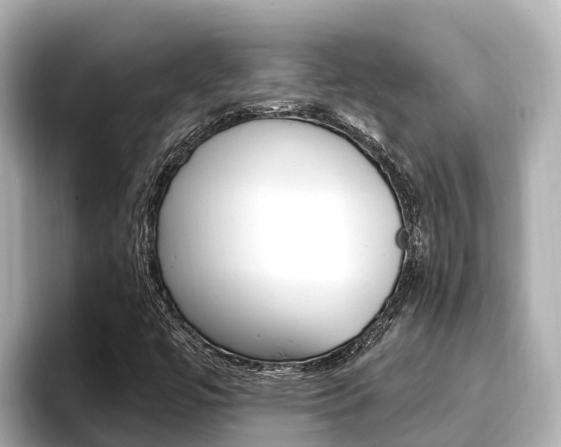 X0000096681447200802051020