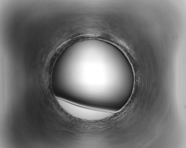 X0000096681448200802051020